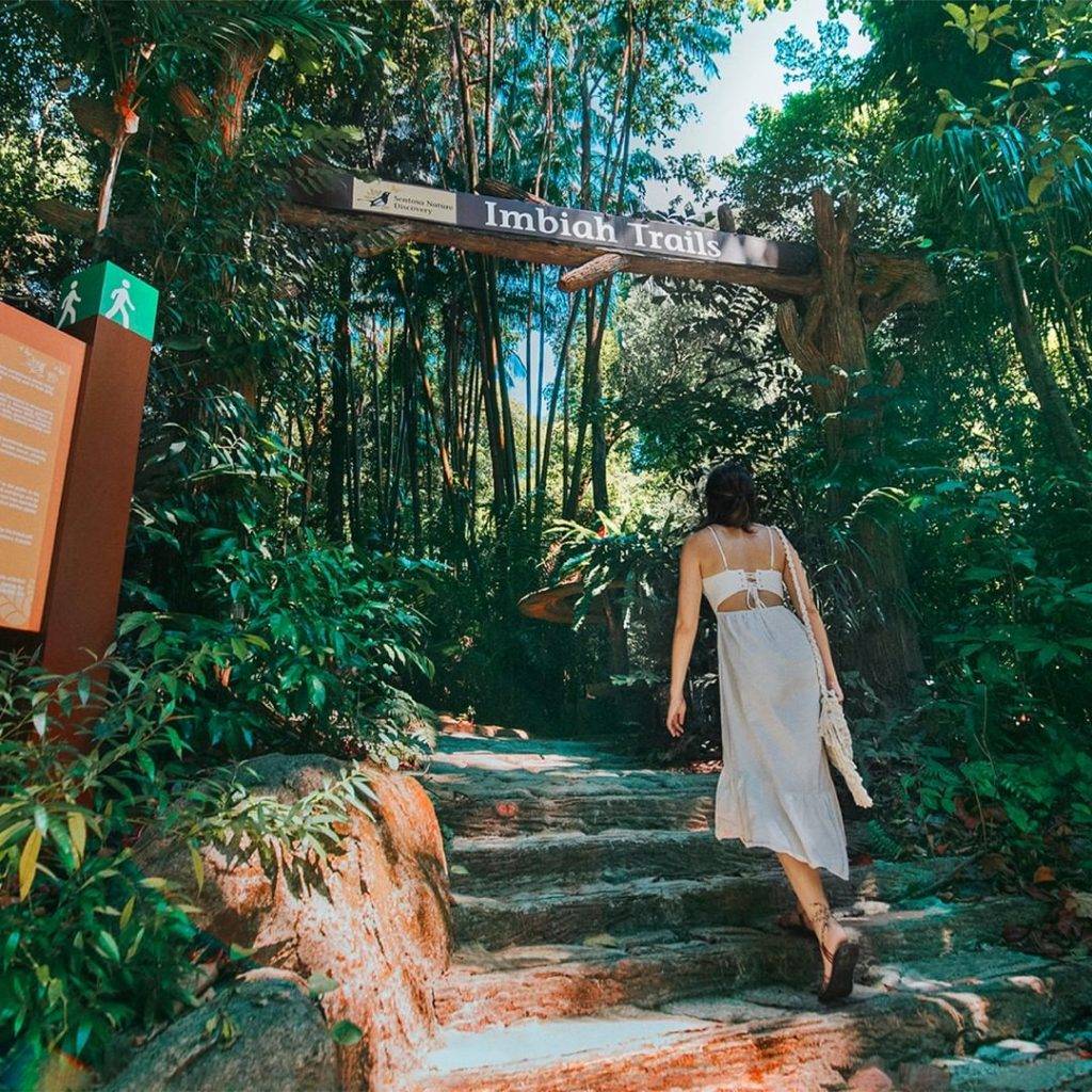 新開辟徒步路線！聖淘沙後花園“Imbiah Trail”沿路亮點🍃 回歸自然，尋覓古迹