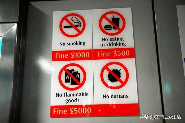 去新加坡遊玩,這11件事你一定要知道