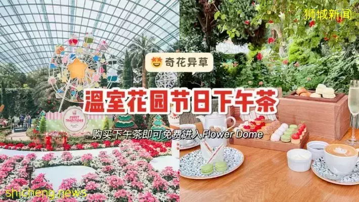 在Gardens by the bay享受节日下午茶！还可以免费进入Flower Dome哦