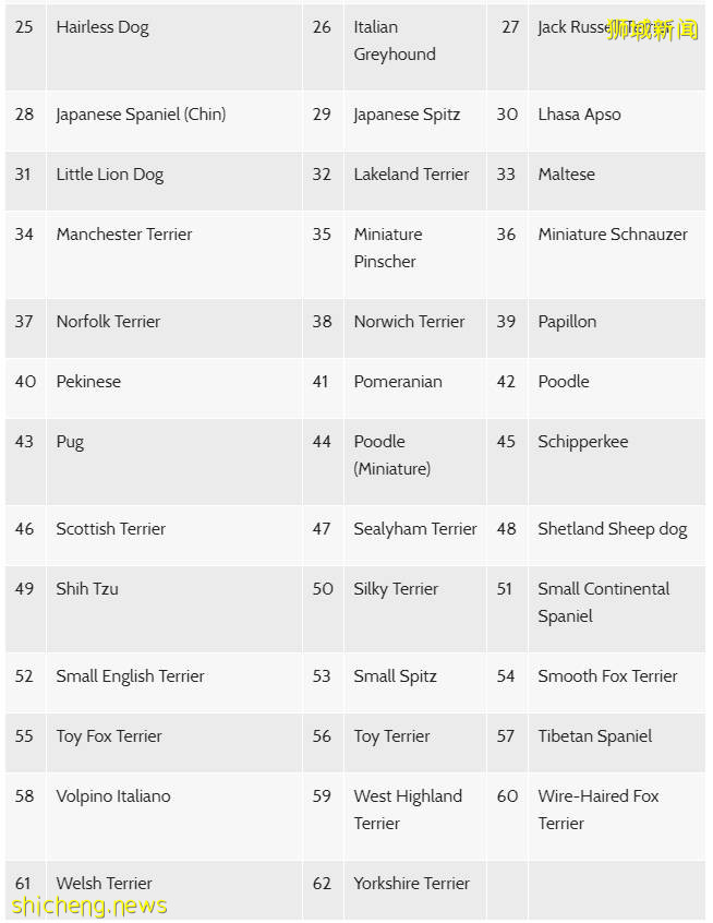 在新加坡怎麽養寵物