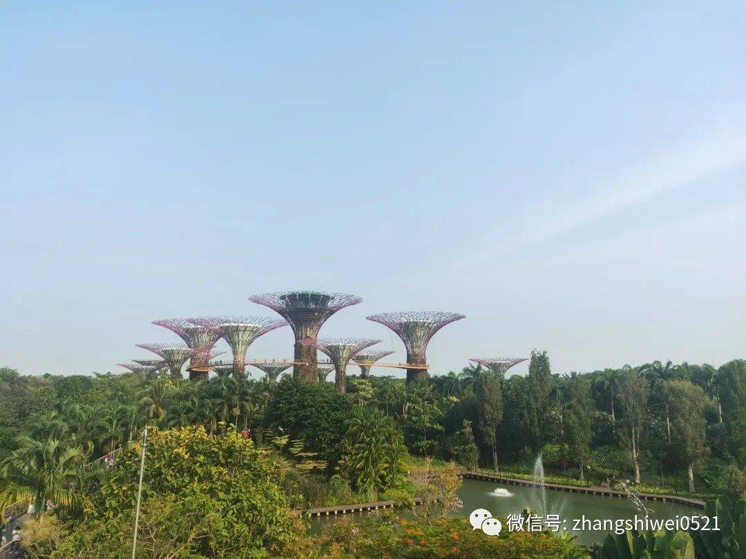 新加坡遊記系列 常規又不常規的獅城遊覽