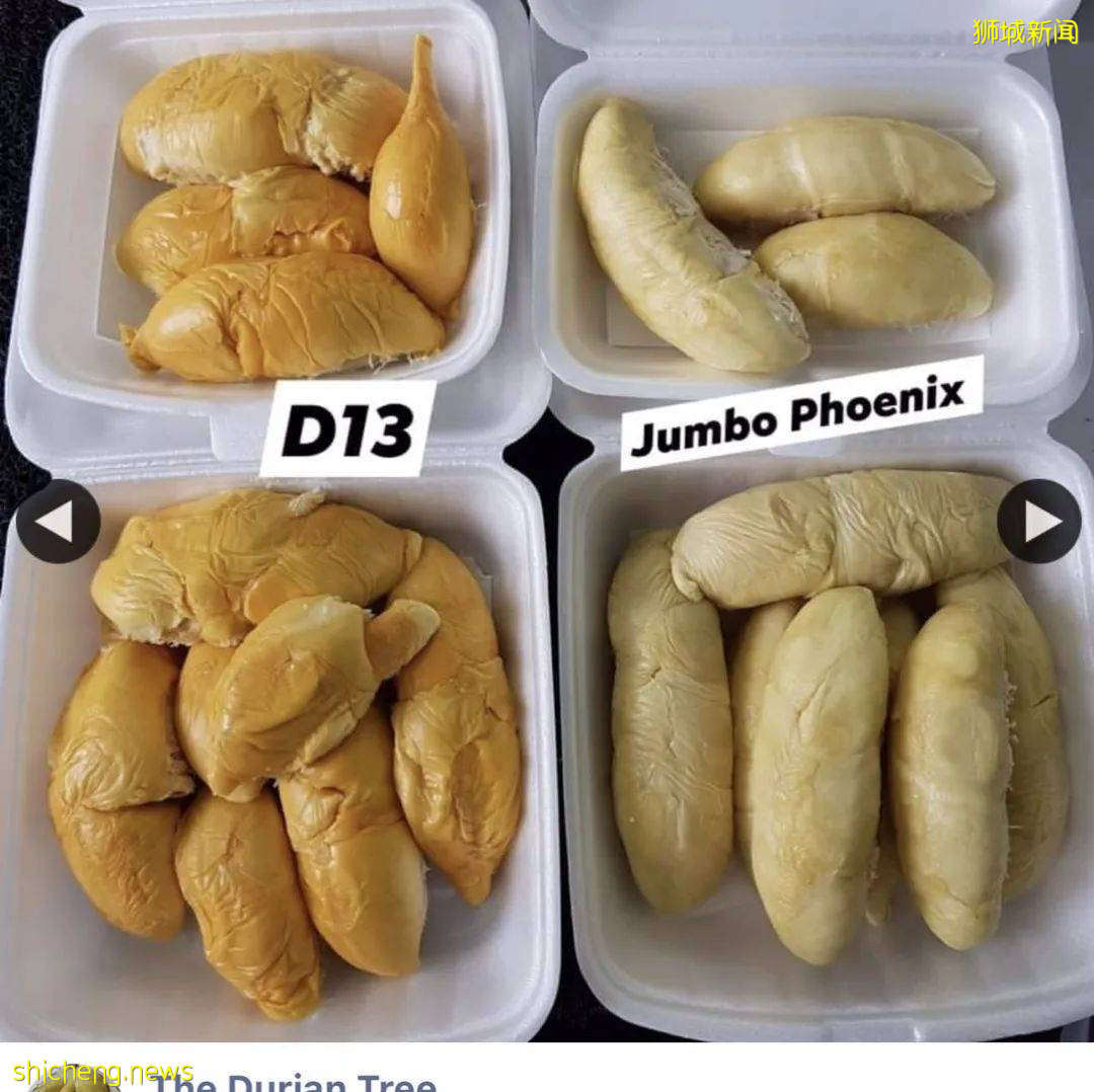 吐血整理！新加坡這20家榴梿太香了！S$11起