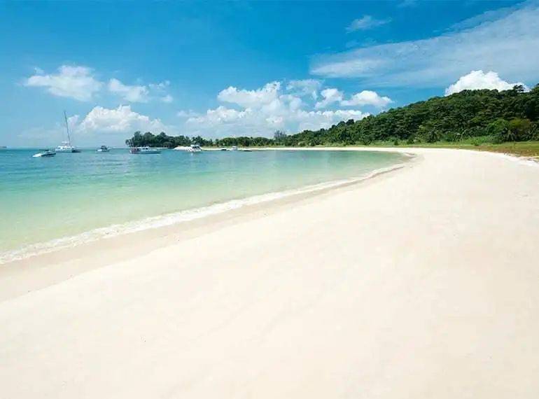 擺脫疫情苦悶 新加坡本地出海遊