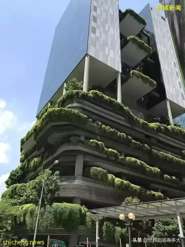 45张照片,带你见识新加坡,不为人知的另一面