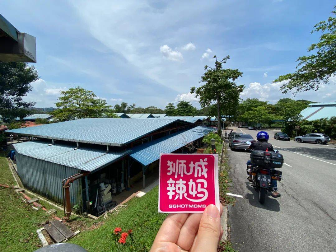 餵羊、擠奶、了解青蛙生長過程,新加坡的農場這麽牛