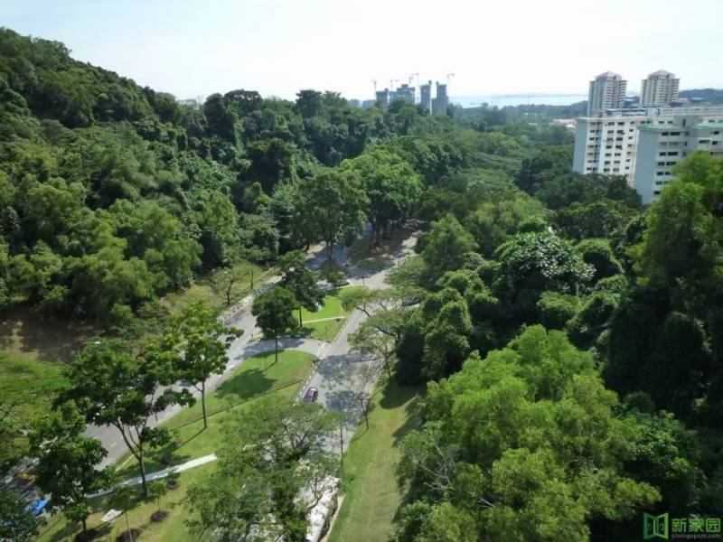 《新加坡的硬道理》:你爲什麽選擇新加坡