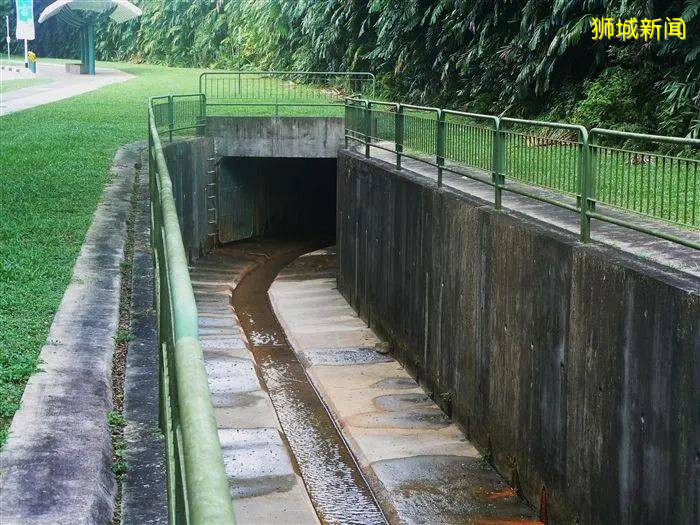 2020年中國南方洪澇嚴重,如新加坡發生洪水,會發生什麽