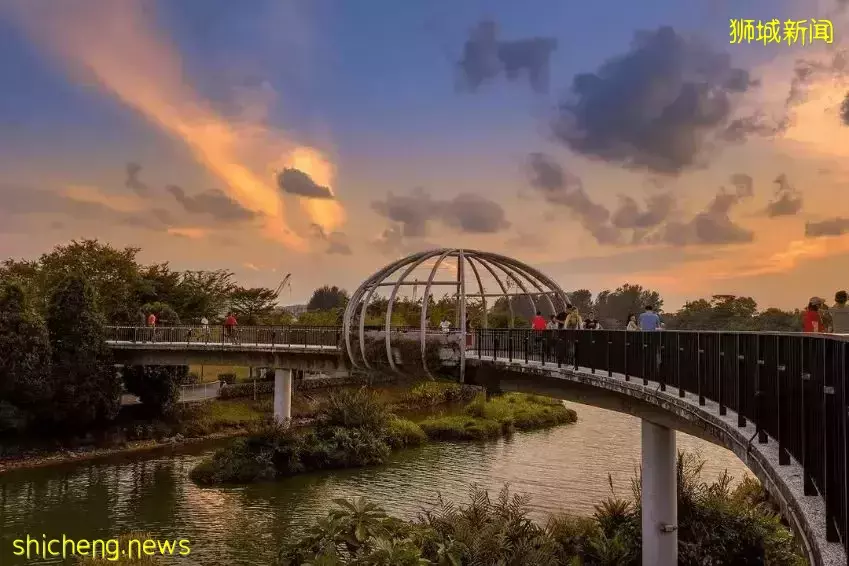 帶娃逛遍新加坡的森林和水庫，9條適合兒童徒步的路線