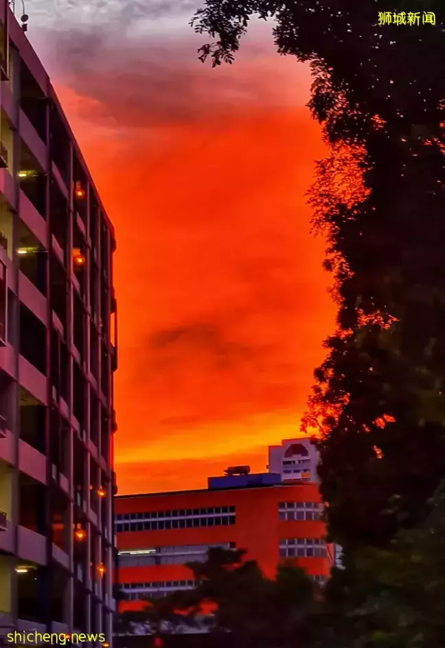 朋友圈刷屏！新加坡出現三色天空，真的是太美了