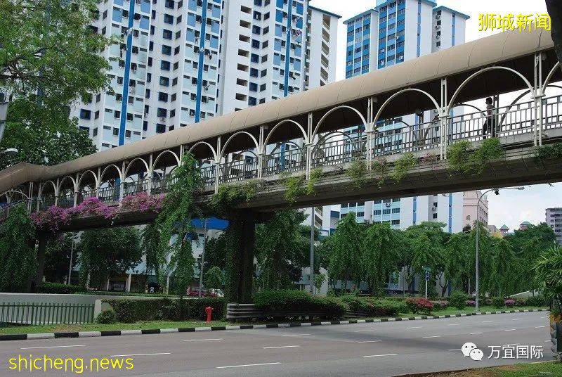 新加坡在悄悄改變!你發現了嗎