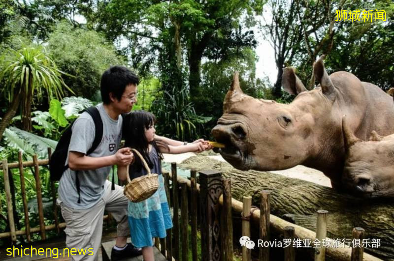 獅城之國——新加坡!