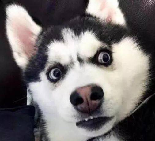 曾被《紐約時報》高度評價的韓式嫩豆腐湯，在新加坡哪裏能夠發現