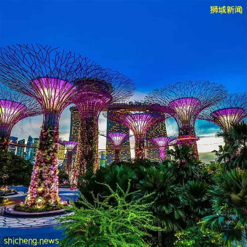 【去看看新加坡】体会不一样的“狮城”风情