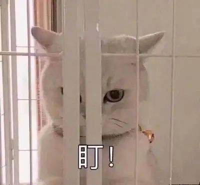 近日不斷出現違反安全距離事件,不要拿自己的生命開玩笑