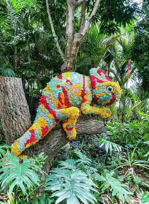 疫情過後，新加坡更讓全世界羨慕