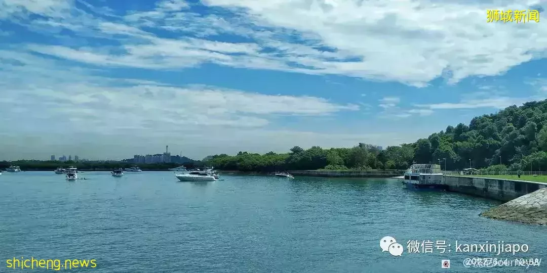 新加坡离岛攻略,半个多小时便能收获美景天堂