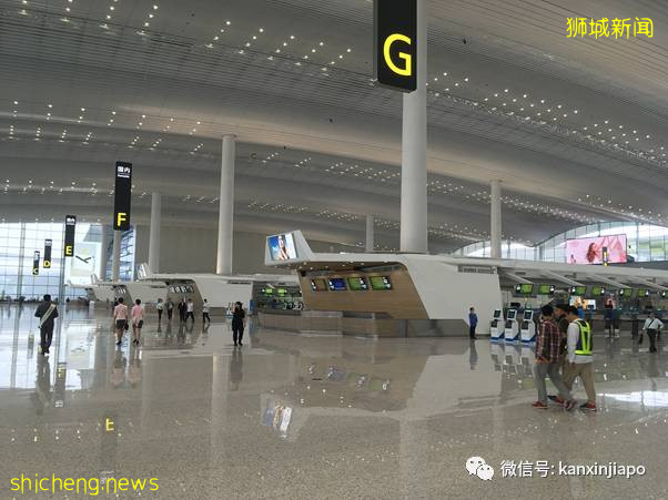 7月新中往返最新航班表出炉!中国各地隔离政策调整