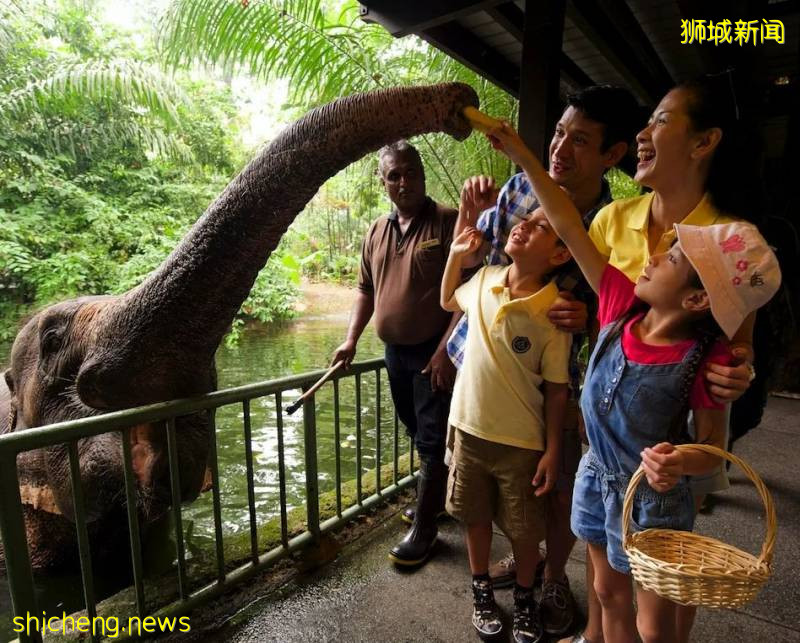 學校假期來了~李顯龍總理親自爲新加坡旅遊打Call，號召國人重新探索新加坡