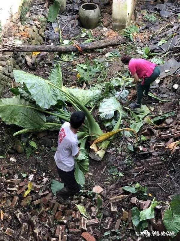 六进南安乐峰,守护潘受祖居