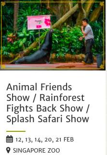 過年去哪兒玩 ? 新加坡春節精彩活動大盤點