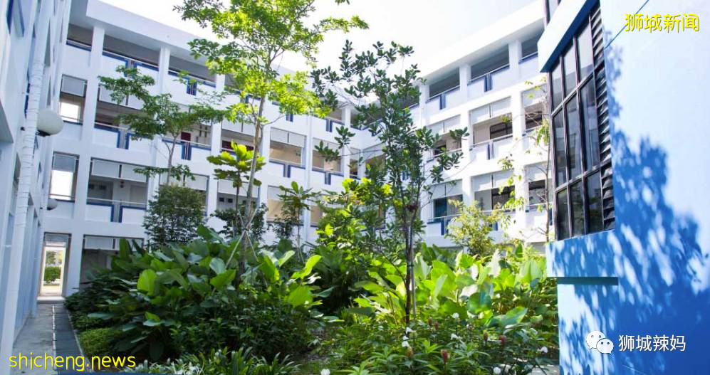 新加坡政府發福利!$1400多/月的國際學校,連奧巴馬夫人都去過