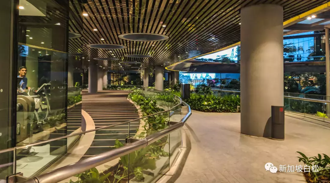 新加坡豪華三項獎公寓Marina One