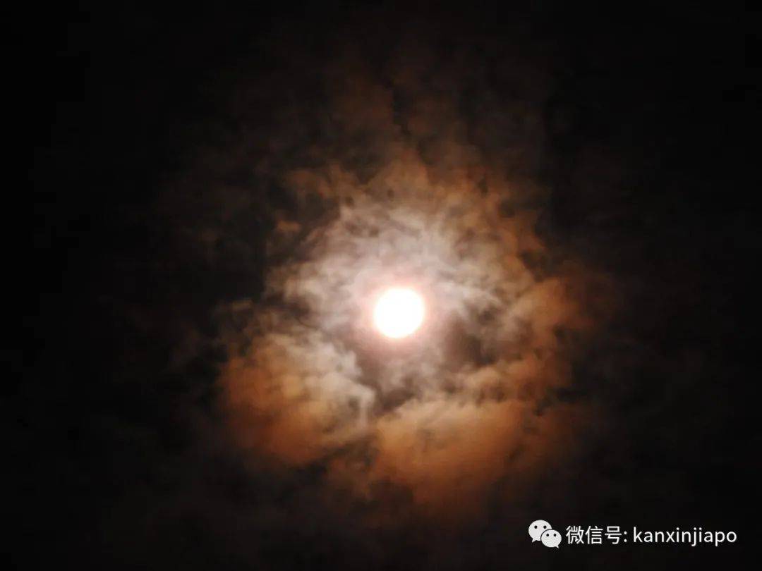 梦幻月晕!新加坡昨晚出现“吸血鬼”月亮