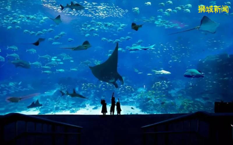 高考成績已出！新加坡等你赴約