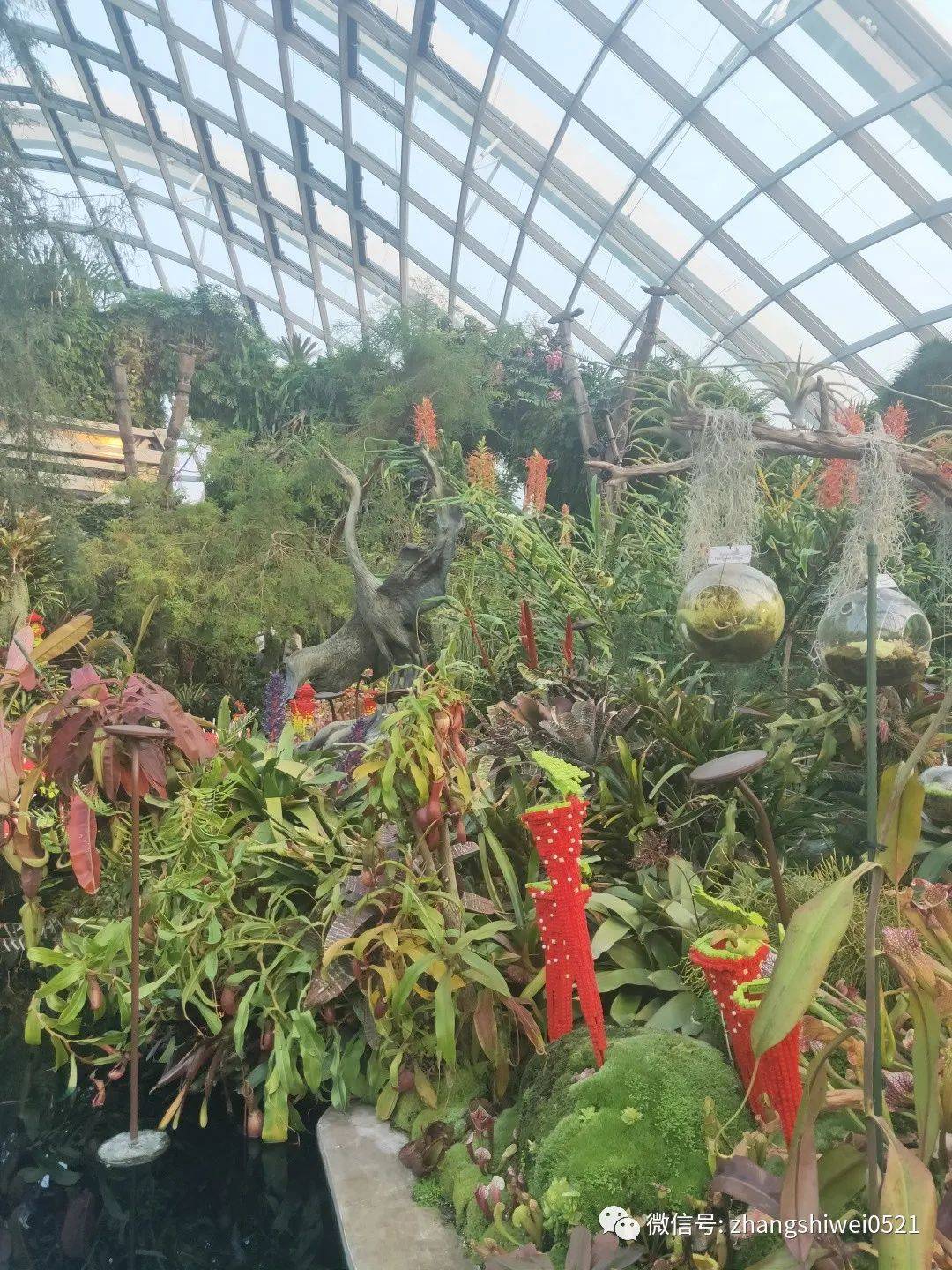 新加坡遊記系列 常規又不常規的獅城遊覽