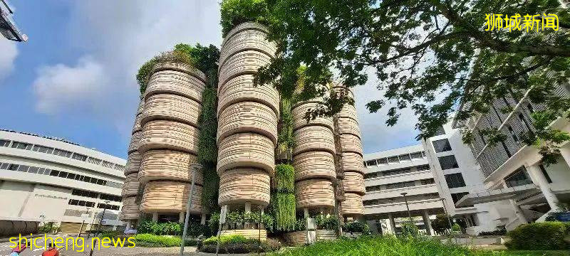 来新加坡的第3个月，我在NTU读“应用经济”