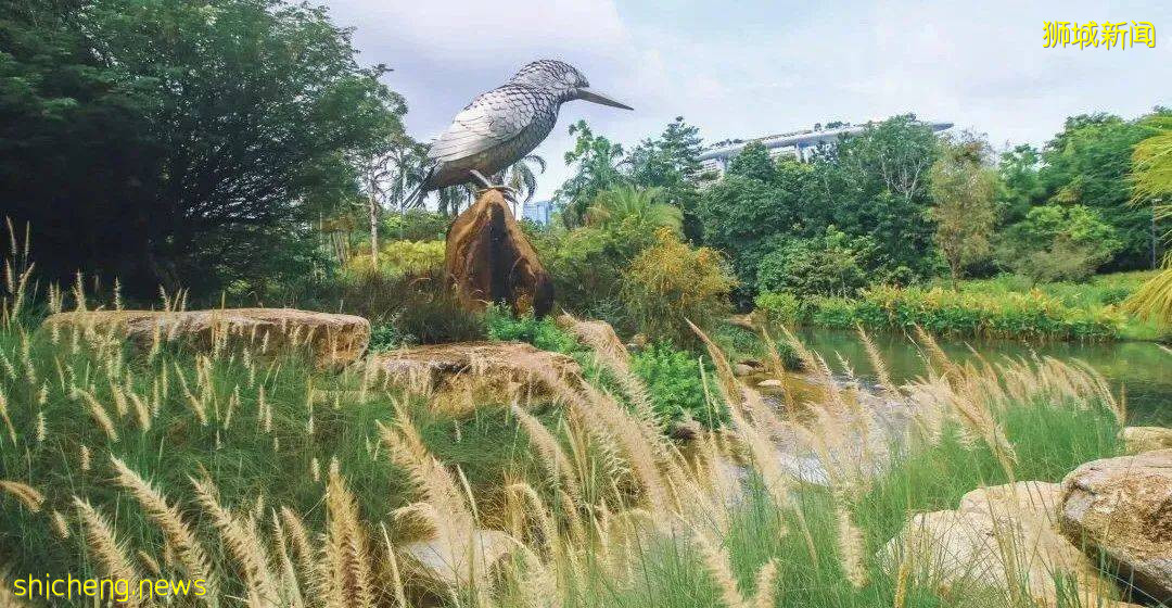 實拍!濱海灣花園新景點+聖淘沙首個“天空喜立”開放