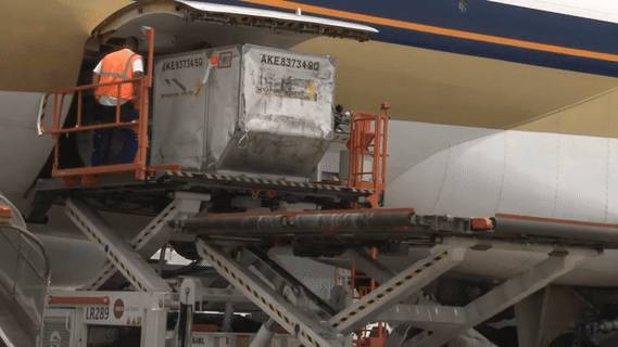 首批莫德納抵新加坡！輝瑞自爆對變異病毒有效性大幅降低