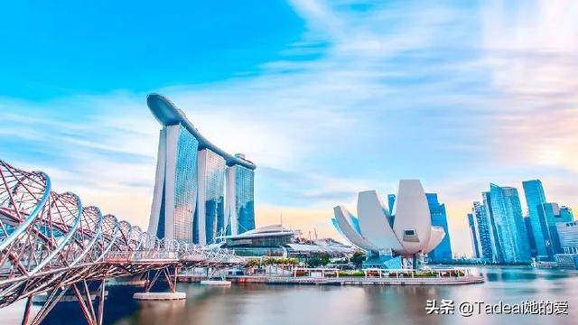 凭什么去新加坡都为它刷屏