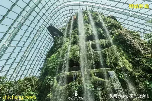 新加坡有座网红植物园，室内瀑布世界最高，全年25度是避暑好去处