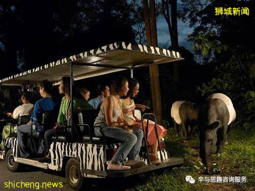 新加坡旅游攻略及指南