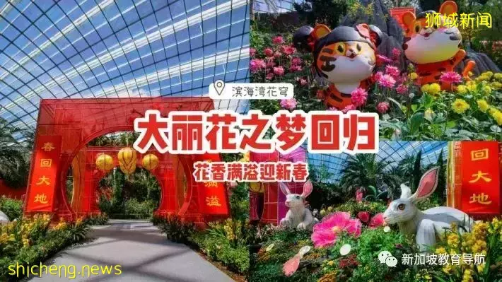 我在獅城過虎年(一)