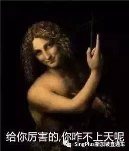 《新加坡高校留学生图鉴》