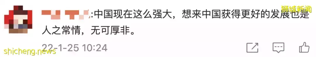 全網熱議！吳尊送娃去中國上學，張柏芝離開坡回上海定居！新加坡不香了
