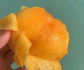 小坡島種草機!春遊野餐正當時,讓大自然治愈你