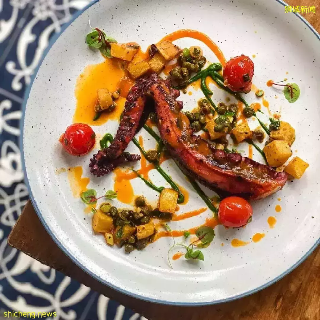 植物園開啓“聖誕遊園之旅”，還有這幾家高顔值餐廳等你來打卡