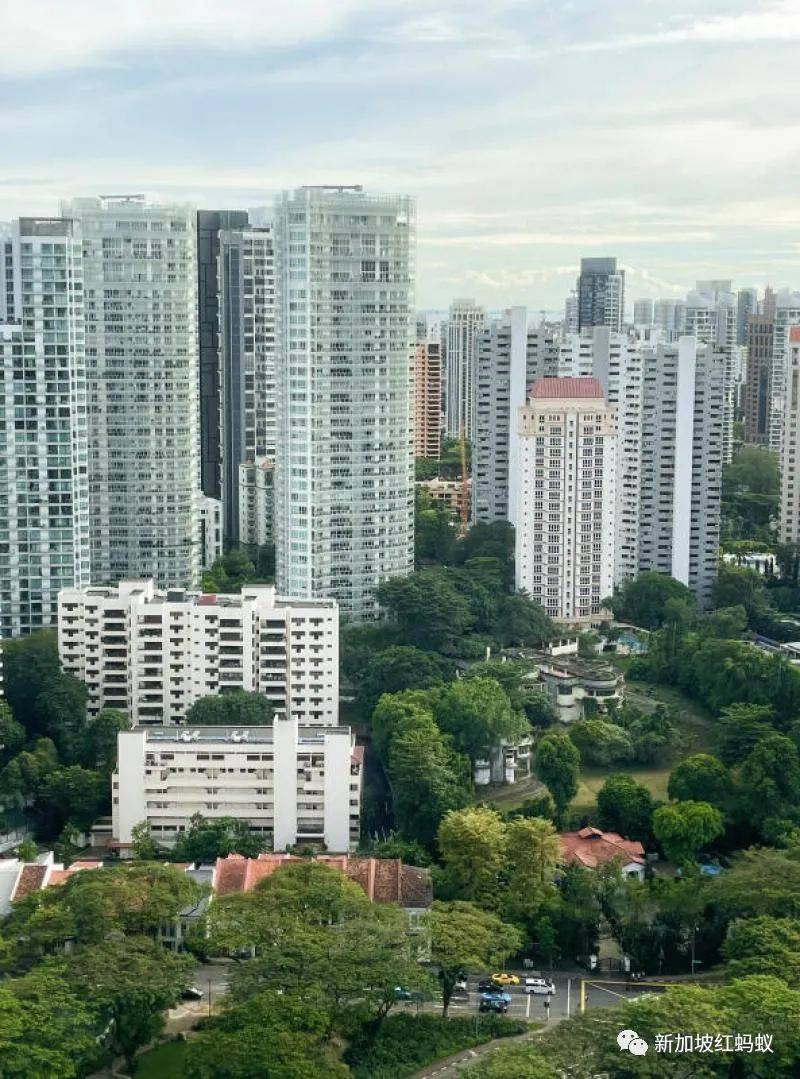 新加坡政府虽主推电子支付,但不会全面废除钞票的使用