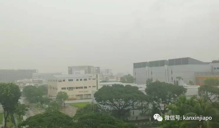 新加坡的雨又憋了一波大招,这些地方都变出壮观水景