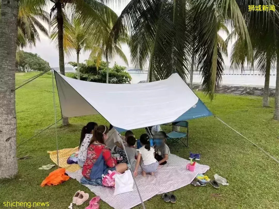 初到新加坡，怎樣快速融入本地，交到一起遛娃的朋友