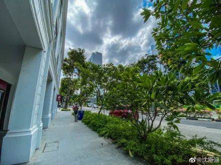 解封10天后,新加坡的办公区,街头,仍然没什么人