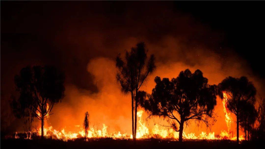 昨早,新加坡全島各處有一股怪味!難道印尼開始燒芭了