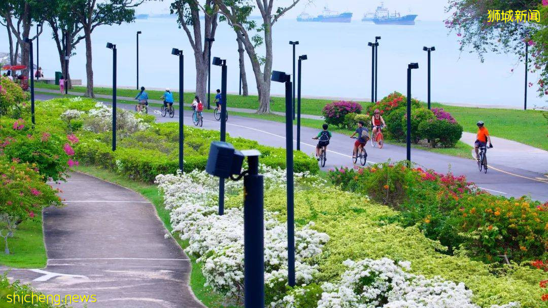 當騎行遇上新加坡,體驗獅城的無限魅力