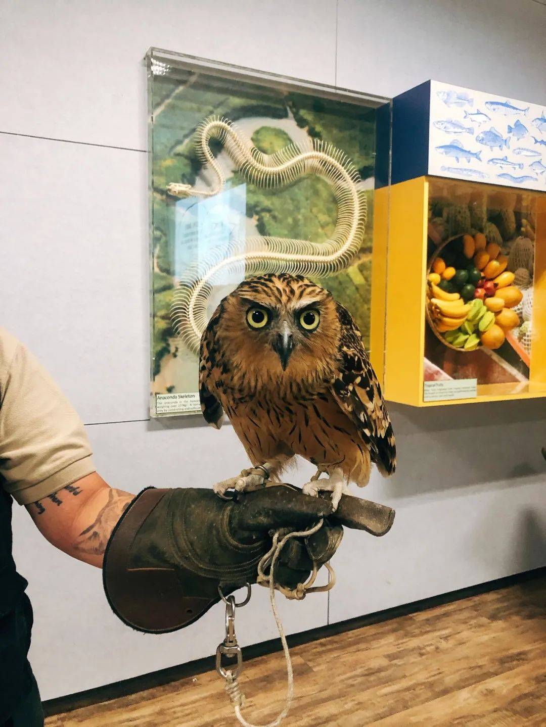 新加坡遛娃新去处!到河川生态园喂海牛,给孩子不一样的staycation