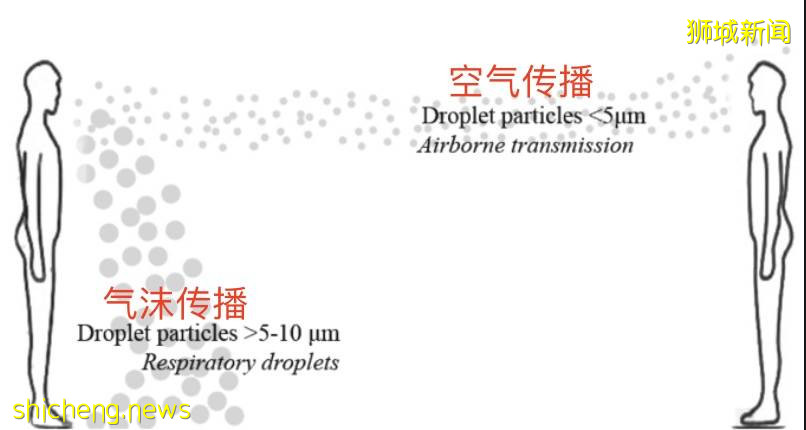 这个新冠变异病毒确诊病例数量,新加坡全球排第五!个人防护如何加码