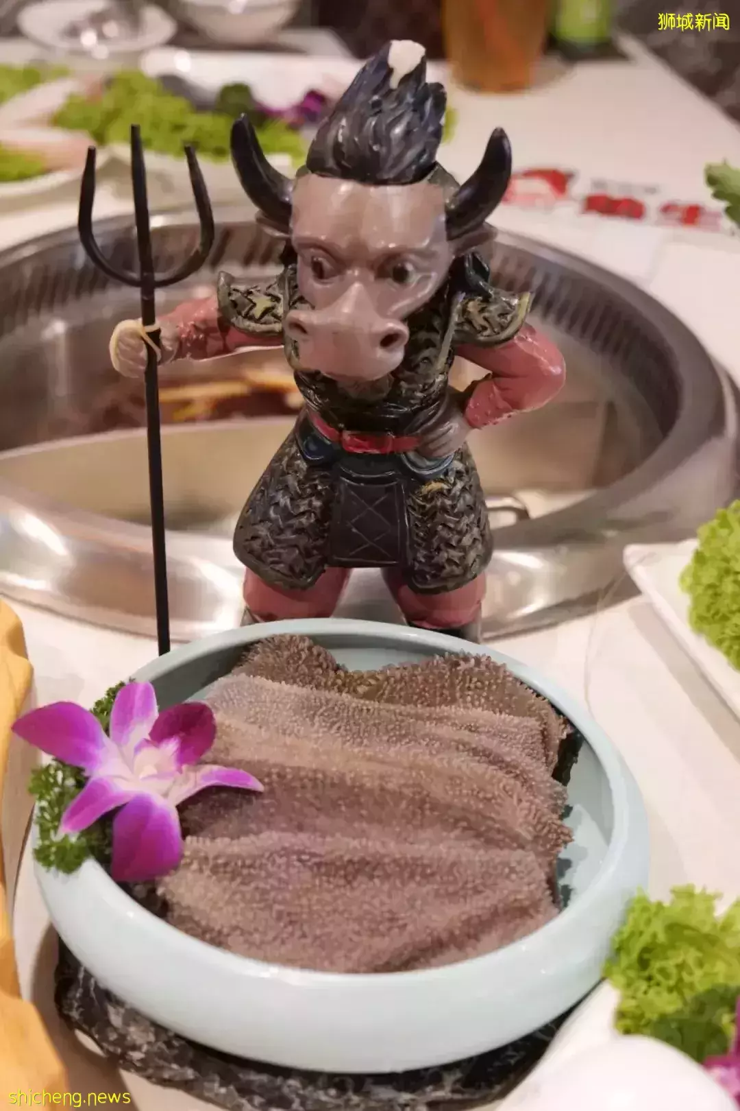 新加坡這家九宮格火鍋太贊了！不限量自助、免費湯底、送飲料