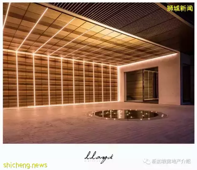 Lloyd Sixtyfive(D09), 李光耀先生故居隔壁的風水寶地，現房永久地契公寓